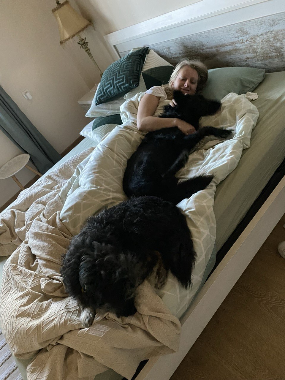 Lía en la cama abrazando un gato negro y un perro