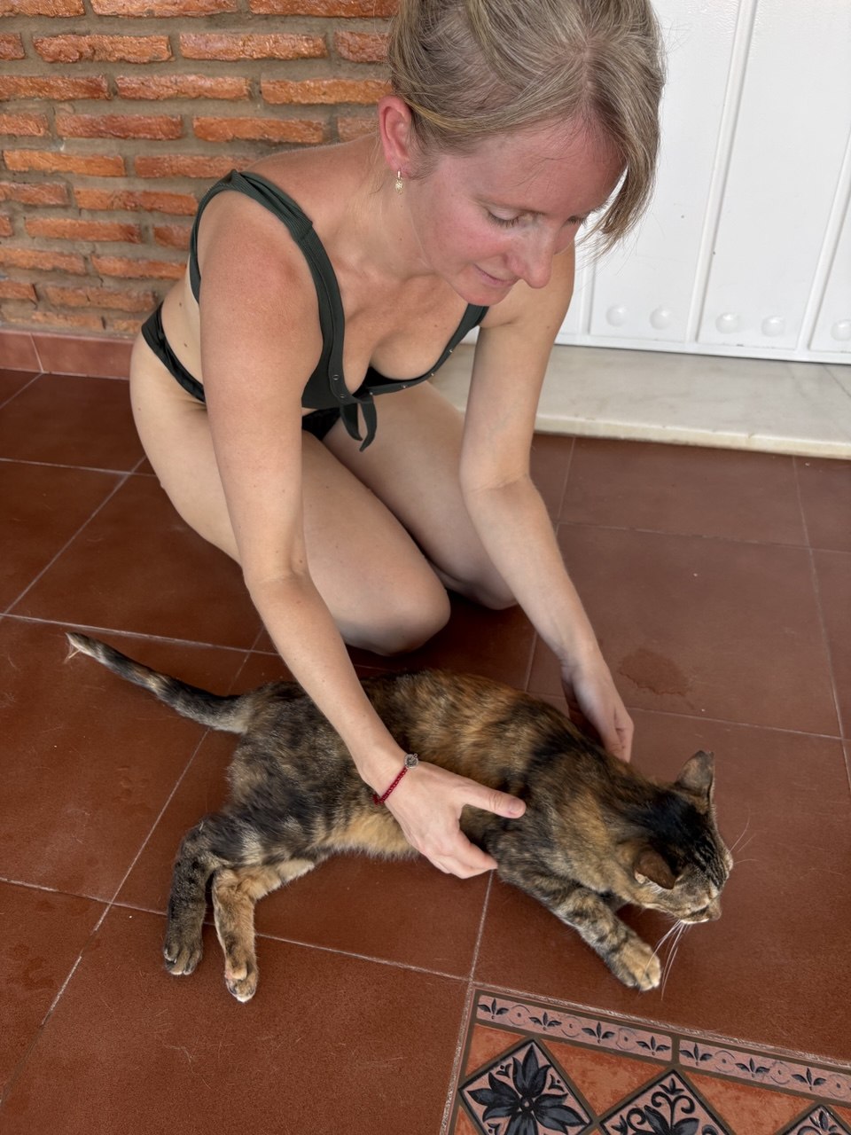 Lía acariciando un gato atigrado