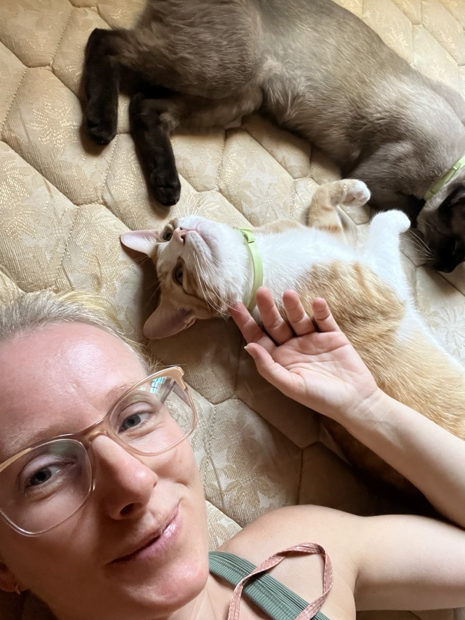 Lía tumbada con gato naranja y gato siamés